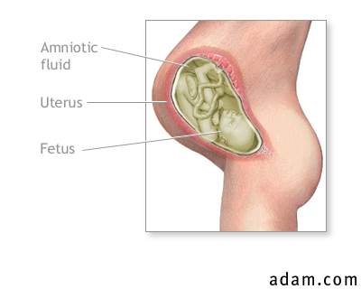Amniotic fluid