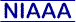 National Institute on Alcohol Abuse and Alcoholism
